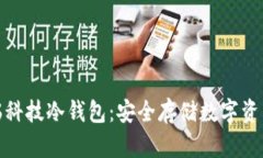 全面解析芯瑞科技冷钱包:安全存储数字资产的