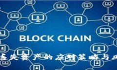 冷钱包丢失资产的应对策略与风险分析