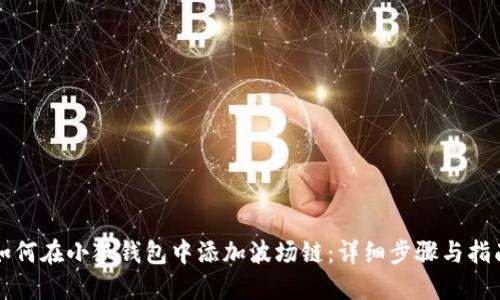 如何在小狐钱包中添加波场链:详细步骤与指南
