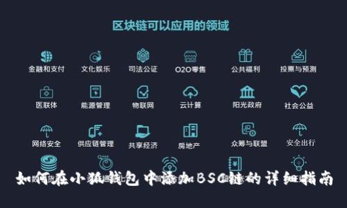 如何在小狐钱包中添加BSC链的详细指南
