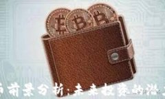 冷钱包币前景分析:未来投资的潜力与风险