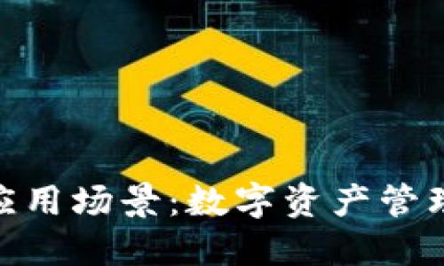 BitPie钱包的应用场景:数字资产管理的多元化选择