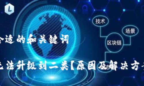 提供一个合适的和关键词
数字钱包无法升级到二类?原因及解决方案全面解析