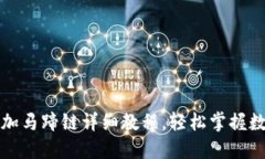 小狐钱包添加马蹄链详细教程,轻松掌握数字资