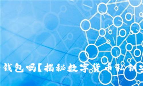 TOP金服是冷钱包吗?揭秘数字货币私钥安全保管方案
