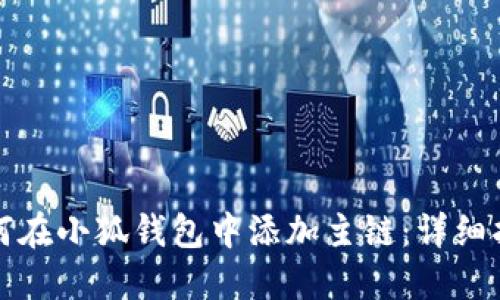 如何在小狐钱包中添加主链:详细指南