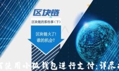 如何使用小狐钱包进行支付:详尽指南