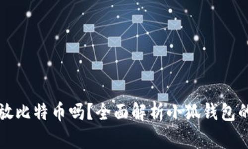 小狐钱包能放比特币吗？全面解析小狐钱包的功能与特点