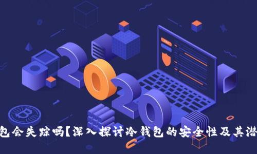 : 冷钱包会失踪吗？深入探讨冷钱包的安全性及其潜在风险
