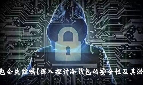 : 冷钱包会失踪吗？深入探讨冷钱包的安全性及其潜在风险