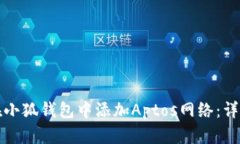 如何在小狐钱包中添加Aptos网络：详尽指南