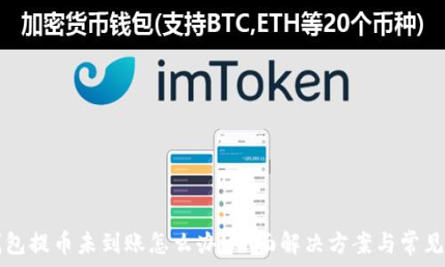 小狐钱包提币未到账怎么办?全面解决方案与常见问题分析