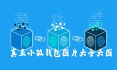  真正小狐钱包图片大全大图