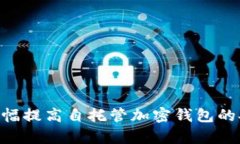 如何解除自托管加密钱包的锁定状态:全面指南