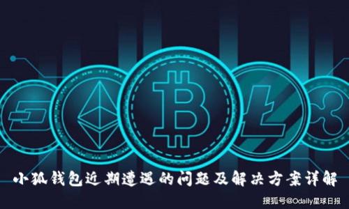 小狐钱包近期遭遇的问题及解决方案详解