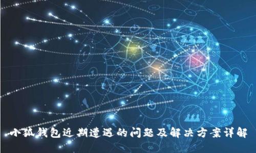 小狐钱包近期遭遇的问题及解决方案详解