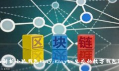 全面解析小狐钱包Klay：Klaytn生态的数字钱包选择