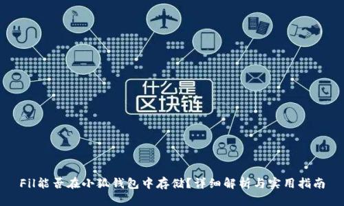 Fil能否在小狐钱包中存储?详细解析与实用指南