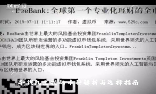 冷钱包支持的币种解析与选择指南