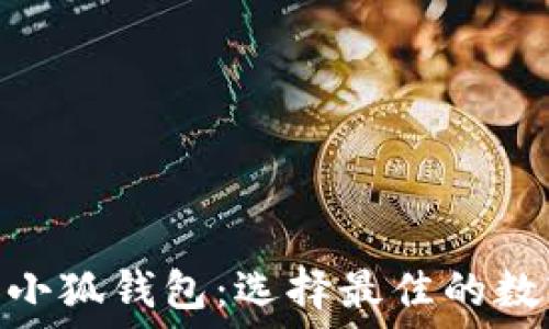 Solflare钱包与小狐钱包:选择最佳的数字资产管理工具