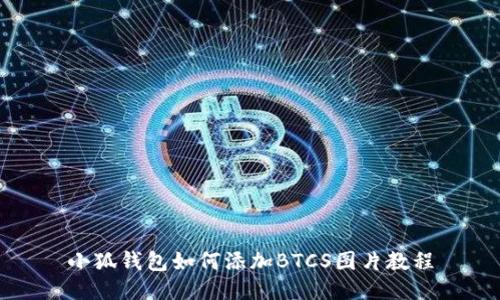 小狐钱包如何添加BTCS图片教程