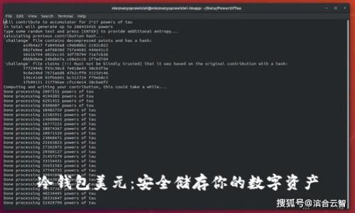 冷钱包美元:安全储存你的数字资产