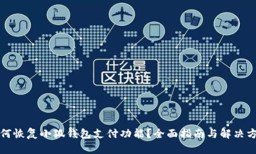 如何恢复小狐钱包支付功能？全面指南与解决方案