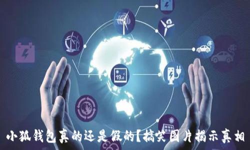 小狐钱包真的还是假的?搞笑图片揭示真相