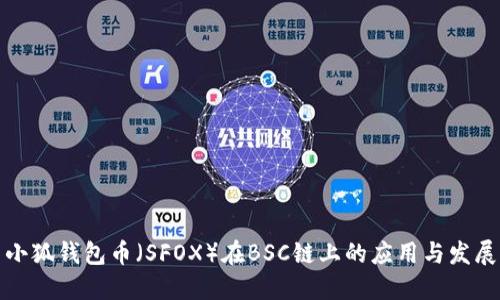 小狐钱包币(SFOX)在BSC链上的应用与发展