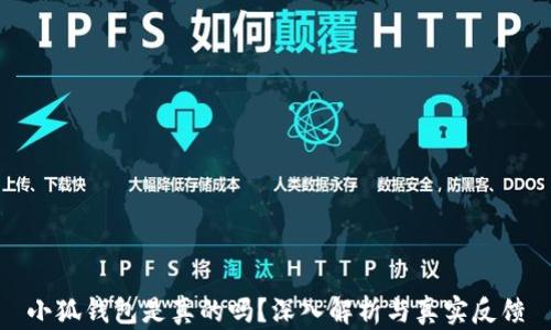 
小狐钱包是真的吗？深入解析与真实反馈