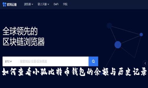如何查看小狐比特币钱包的余额与历史记录