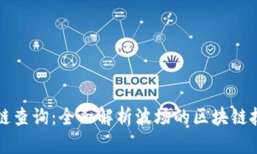 波场区块链查询：全面解析波场的区块链技术与应用