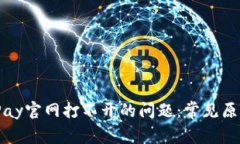 如何解决BitPay官网打不开的问题：常见原因及解
