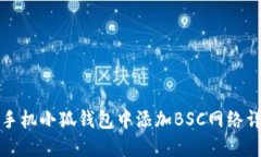 如何在手机小狐钱包中添加BSC网络详细指南