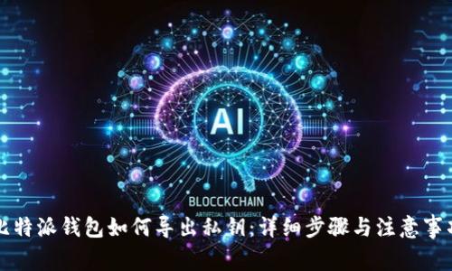 比特派钱包如何导出私钥：详细步骤与注意事项