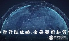 : 小狐钱包币种升级攻略：全面解析如何顺利进行