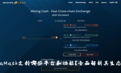 MetaMask支持哪些平台和功能？全面解析其生态系统