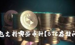 br小狐钱包支持哪些币种？BTC存储问题解析