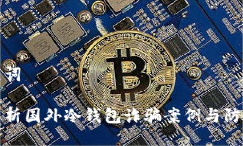 与关键词

深入解析国外冷钱包诈骗案例与防范措施