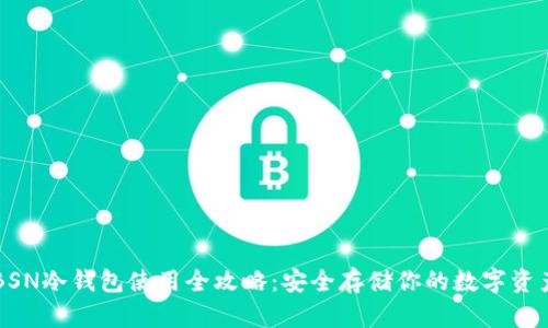 BSN冷钱包使用全攻略：安全存储你的数字资产