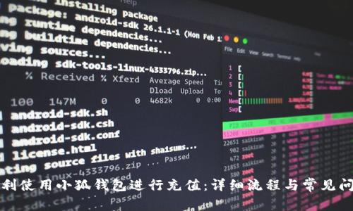 如何顺利使用小狐钱包进行充值:详细流程与常见问题解答