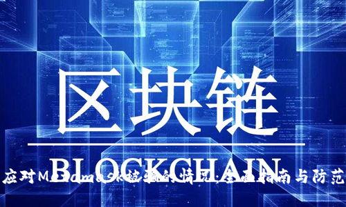如何应对Metamask被骗的情况:全面指南与防范措施