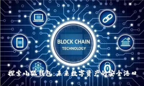 探索小狐钱包：未来数字资产的安全港口