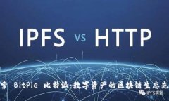 探索 BitPie 比特派:数字资产的区块链生态先锋