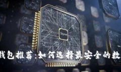 2023年最佳冷钱包推荐:如何选择最安全的数字资