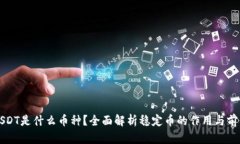 USDT是什么币种?全面解析稳定币的作用与前景