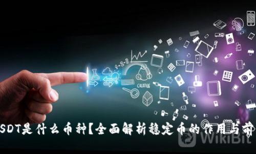 USDT是什么币种?全面解析稳定币的作用与前景