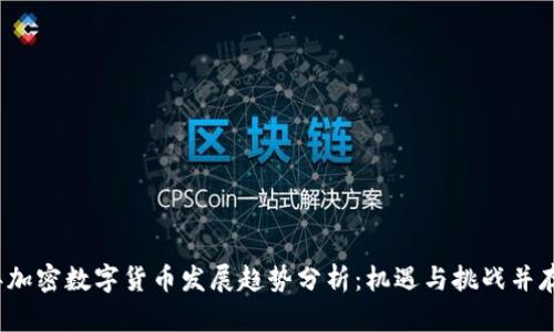 2024年加密数字货币发展趋势分析:机遇与挑战并存的未来