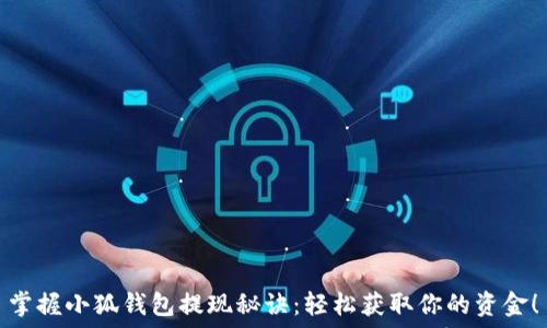 掌握小狐钱包提现秘诀:轻松获取你的资金!