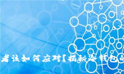 如果冷钱包倒闭,投资者该如何应对?揭秘冷钱包的风险管理与应急策略
